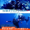 【海が好き】ライセンス不要で伊豆大島の海を体験ダイビング！の画像