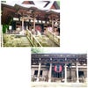 出羽三山神社　参拝その２の画像