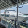 津エアポートライン「カトレア」乗船記【2022年6月】の画像