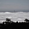 サンフランシスコ「霧写真特集」の画像