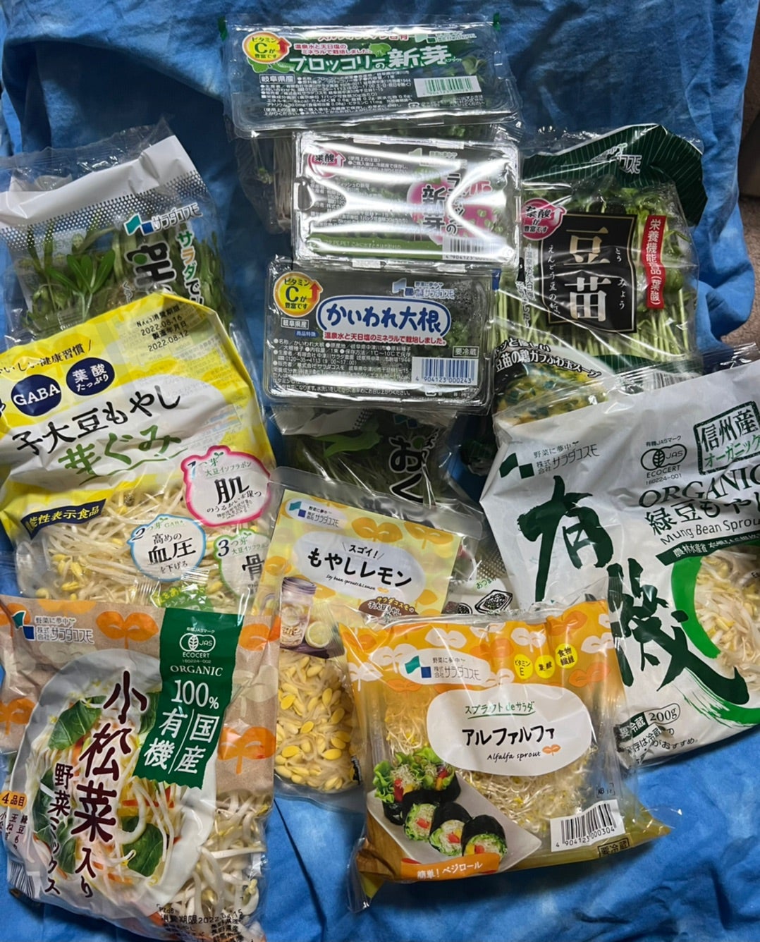 SALE／79%OFF】送料無料 11品 発芽野菜 セット スプラウト スーパーフード 野菜・きのこ
