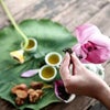 蓮ハスはベトナムの国花の画像