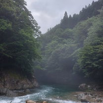 ブログ投稿画像