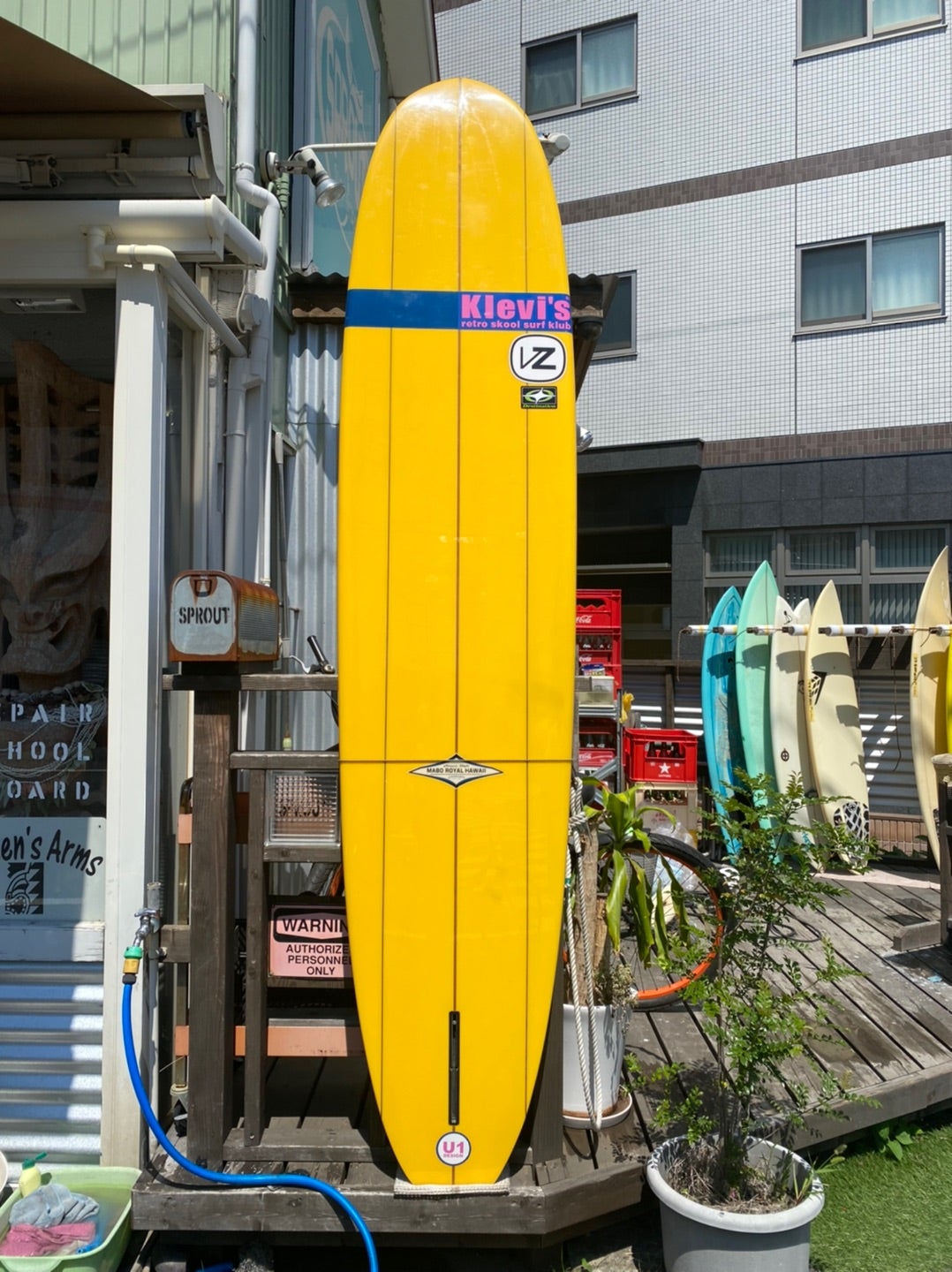 激安USED入庫‼️MABOROYAL シングルフィンロングボード | 湘南辻堂 スプラウト 『SPROUT surf storage』