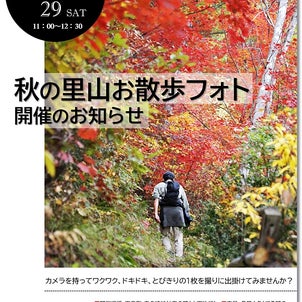 【秋のお散歩フォト】のお知らせの画像