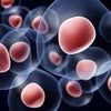 医療法人社団悠健ドクターアンディーズクリニックの 幹細胞培養上清エクソソーム療法の画像