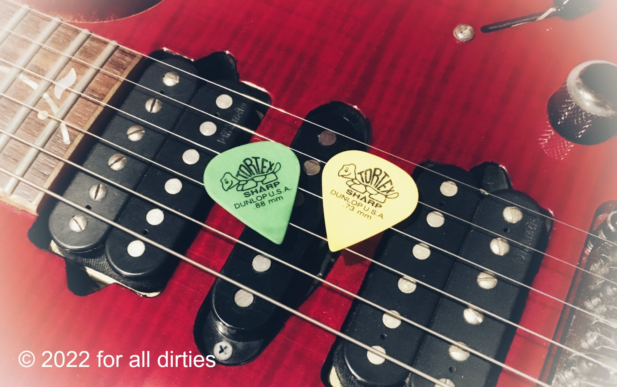 JIM DUNLOP TORTEX STD BLUE×12枚 激安挑戦中 JIM DUNLOP TORTEX STD BLUE×12枚 激安挑戦中
