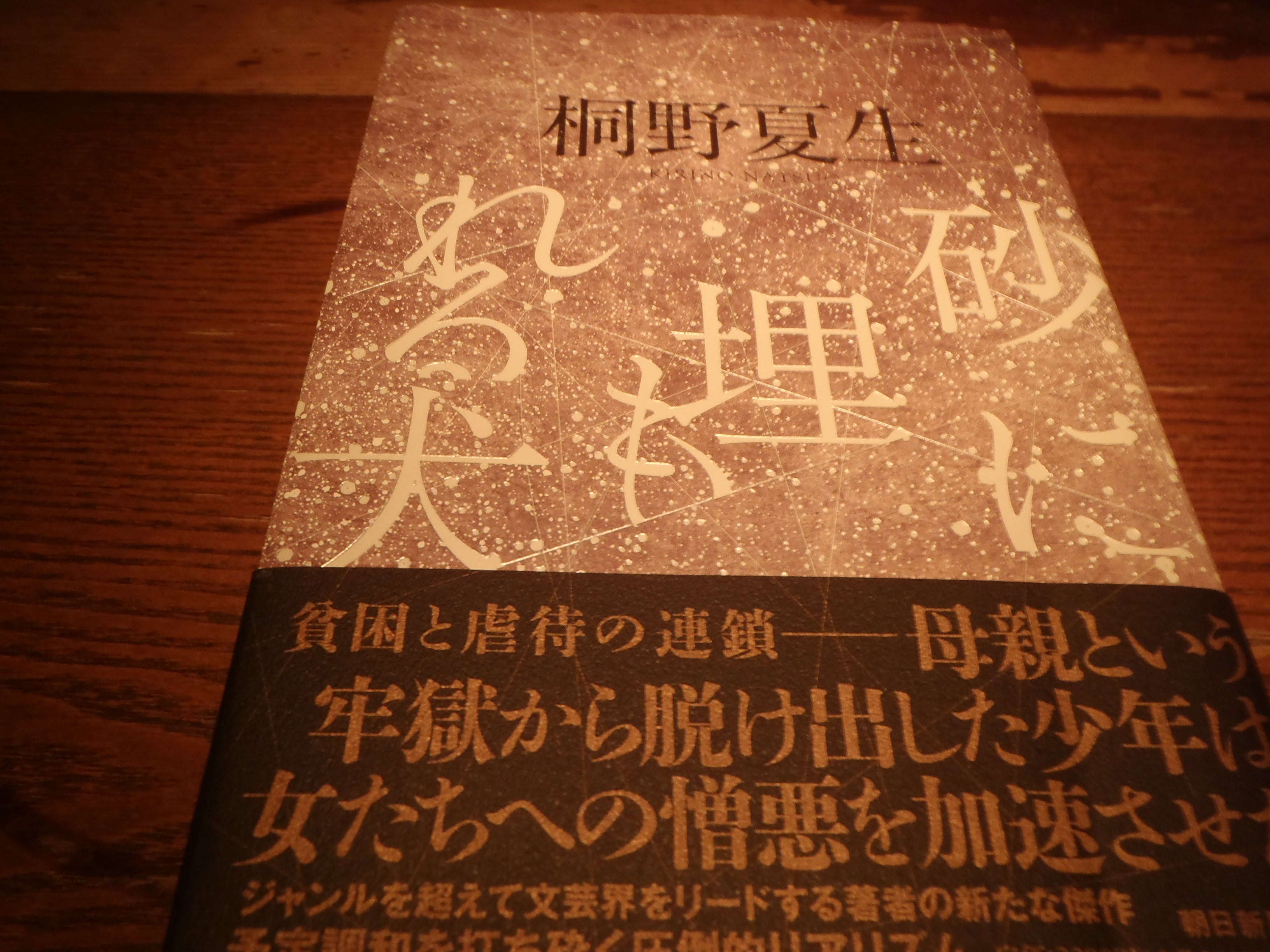 「天に月、地に山」　愛知・豊橋で日本酒なら何か優等生になったのが残念（「砂に埋もれる犬」　桐野夏生）