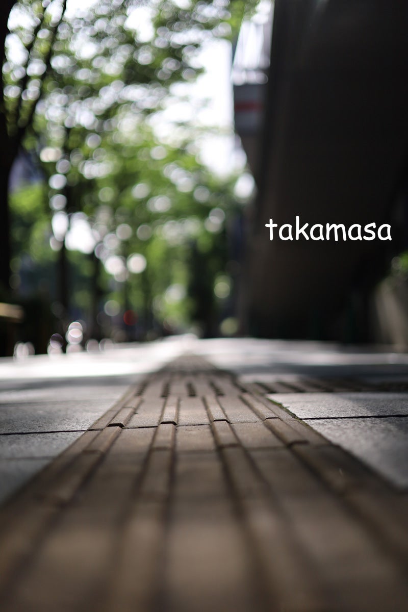 Canon RF50mm F1.8 STM×Canon EOS RP】ミラーレス×標準レンズ | 写真の