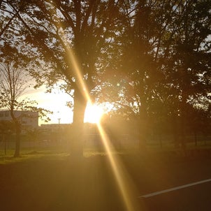サロン前の柳町公園からの夕日の画像