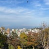 秋を感じる【小樽公園】の画像