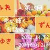 ミレずんゆきお話会#15  11/12(土)開催ですの画像