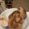 椎茸の画像