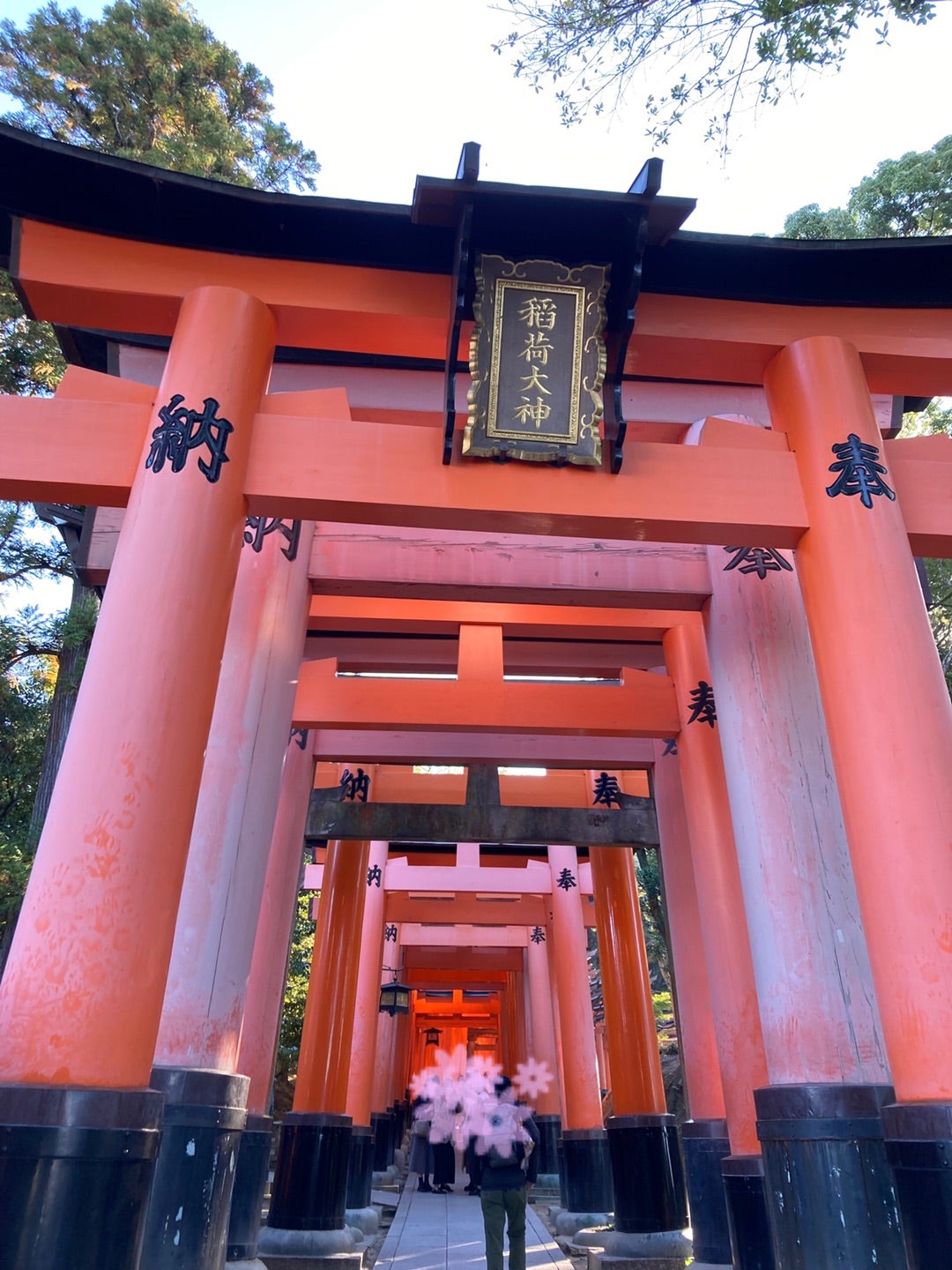 週末京都プチ旅行-２日目 -の記事画像