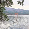 【神社】龍神さま現る！箱根の九頭龍神社（本宮）の画像