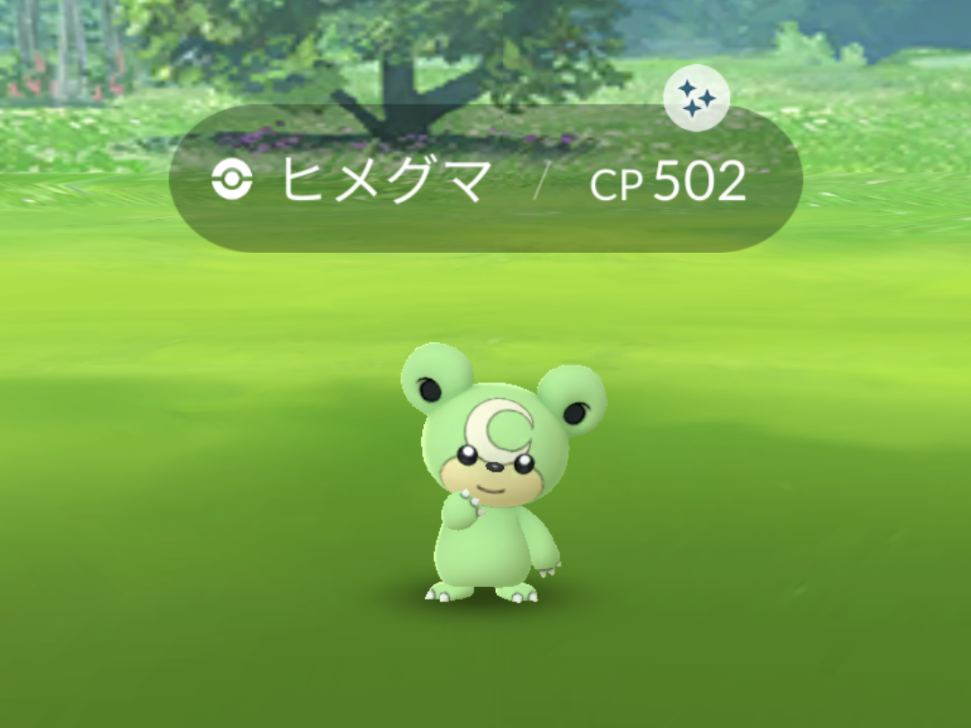 ヒメグマコミュニティデイ22 11 12 ポケモンgo編 ｓｅｎｗａの徒然日記