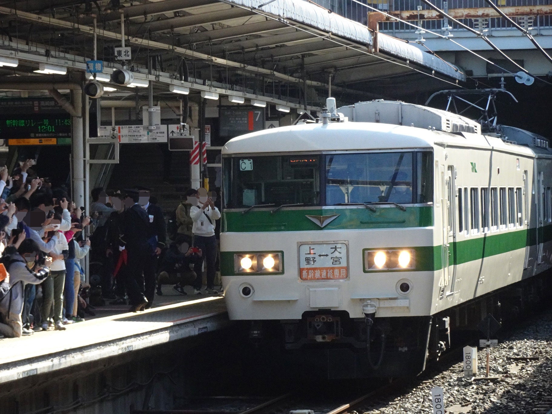 185系（C1編成・リバイバル塗装）団体列車を大宮駅で撮影。 2022/11/12 ...