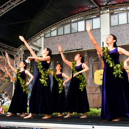 画像 昨日は京都で立命館大学衣笠キャンパスの大学祭に出演したフラサークルを取材しました！ の記事より 19つ目