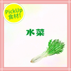【PICK UP食材】水菜・栄養の画像
