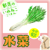 【PICK UP食材】水菜・豆知識の画像