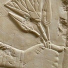 in a fairylike place：ところで、エジプトのロータスって睡蓮のことの記事より