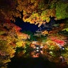 醍醐寺のライトアップ　京都の画像