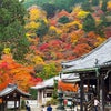 善峰寺の紅葉　京都の画像