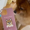 こだわりと需要の狭間の画像