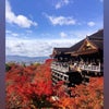 昨日の京都‼️の画像