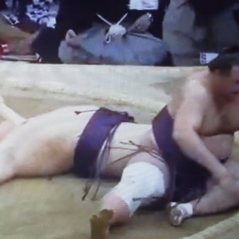 大相撲九州場所13日目、幕内の７勝力士の50％が勝ち越した事実。伊勢ケ浜部屋全滅。今場所3度目