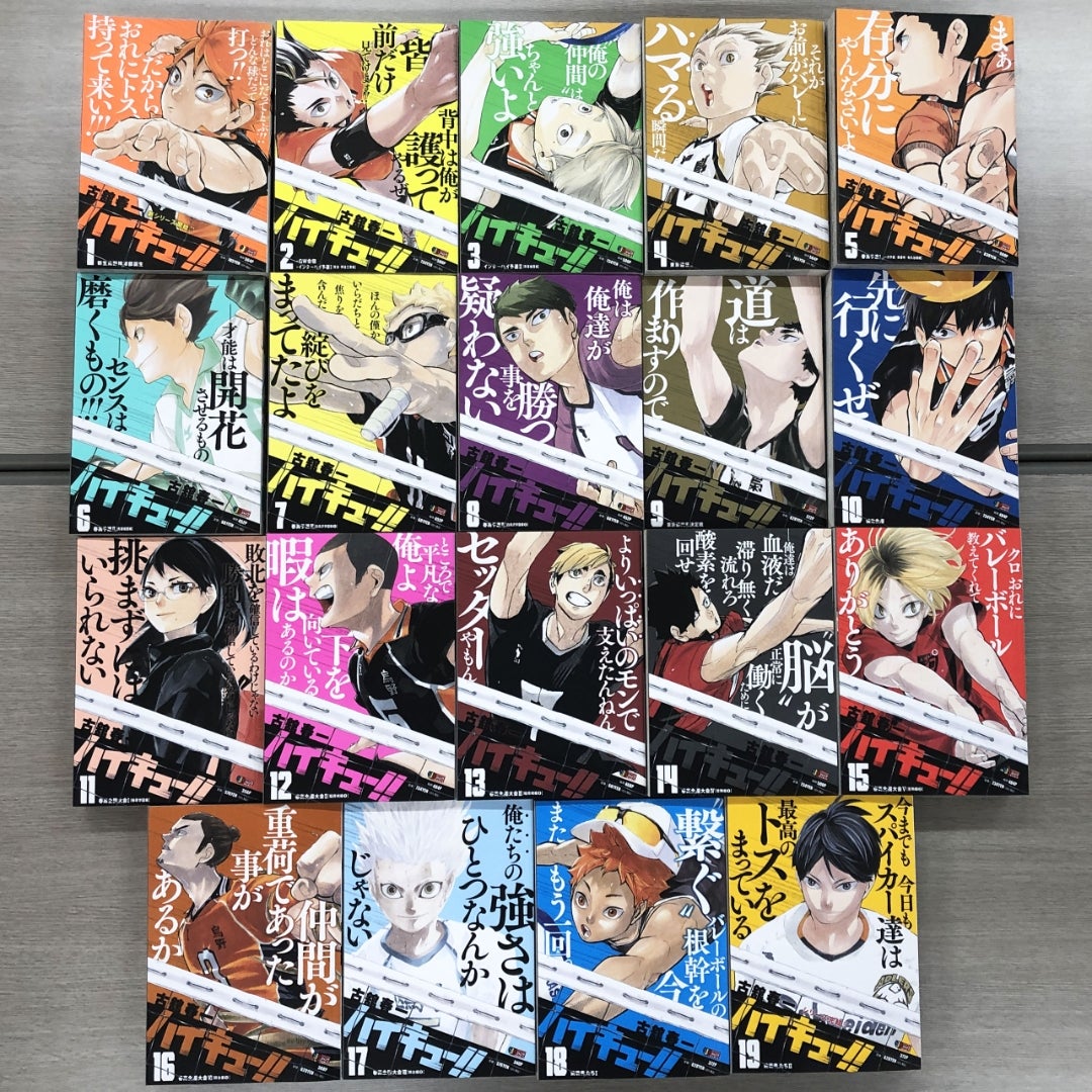 ハイキュー!!」リミックス(廉価版)19 | 病院徒然草