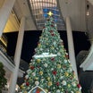 スタービスタの巨大クリスマスツリーとイマカツ