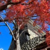 秋の100名城スタンプラリー 4/100の画像
