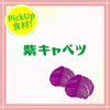 【PICK UP食材】紫キャベツ・栄養の画像