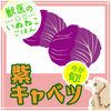 【PICK UP食材】紫キャベツ・豆知識の画像