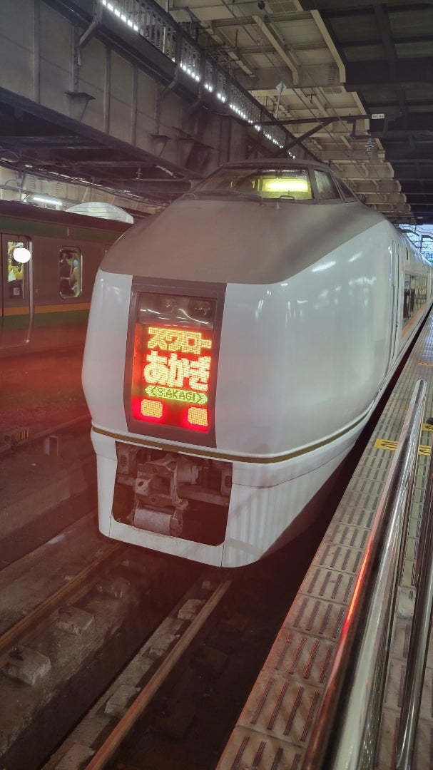 651系のOM204編成によるスワローあかぎ3号in上野駅 | よしちゃん