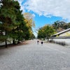 【京都旅行①京都御所〜京都大学へ】の画像