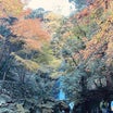 「養老公園」の紅葉と滝とサイダー