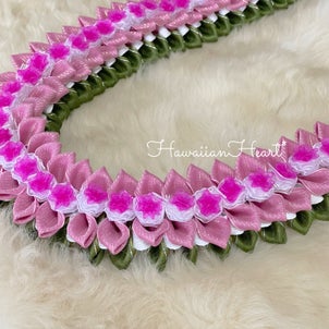 Pink Lotus*の画像