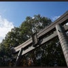 旅行支援でボッチ旅～高千穂神社の画像