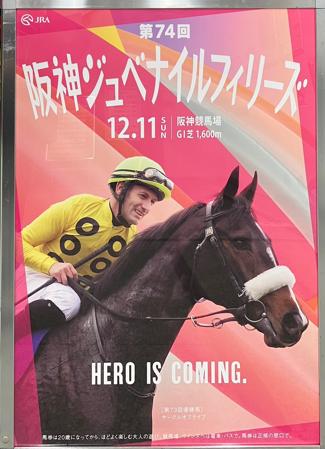 第回 阪神ジュベナイルフィリーズ GⅠ 登録馬・馬名意味・誕生日
