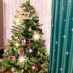 星組2番手問題とクリスマスツリー