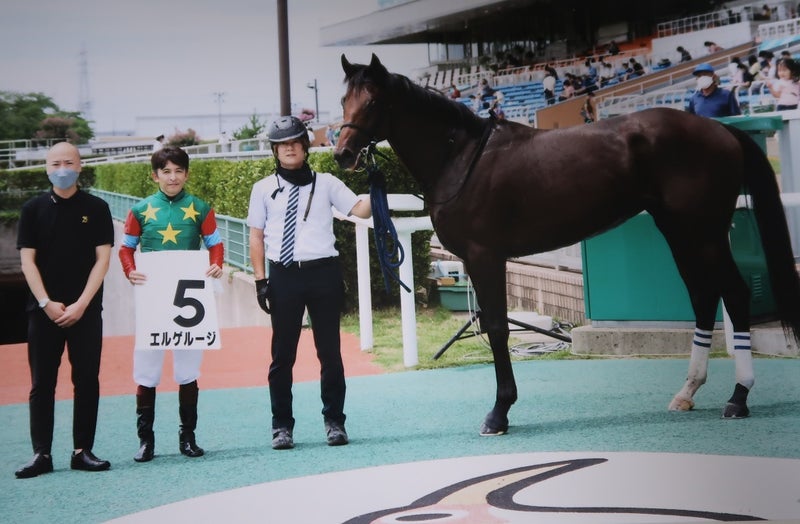 ぐりぐり君の個人馬主ブログ2022年日本競馬界の10大ニュース