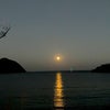 西の海に沈む１２月の満月。の画像
