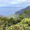 島観光　カウアイ島再訪　２の画像