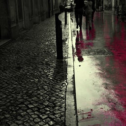 画像 Portugal Images の記事より 1つ目
