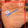 【手相】四柱推命に向く手相の特徴〜知能線の向きと手の形の画像