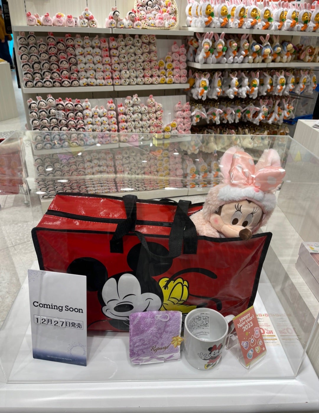 shop Disney】ラッキーバッグ(福袋)2023 | ☆るい's WORLD☆