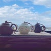 【本格中国茶】お気に入りの中国茶ティーバッグを紹介します! その1の画像