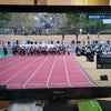 新生・福岡国際マラソンを見届けて感じたことの画像